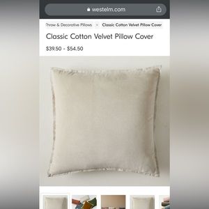 Pair of cotton velvet West elm 20 x 20 in pillow cases